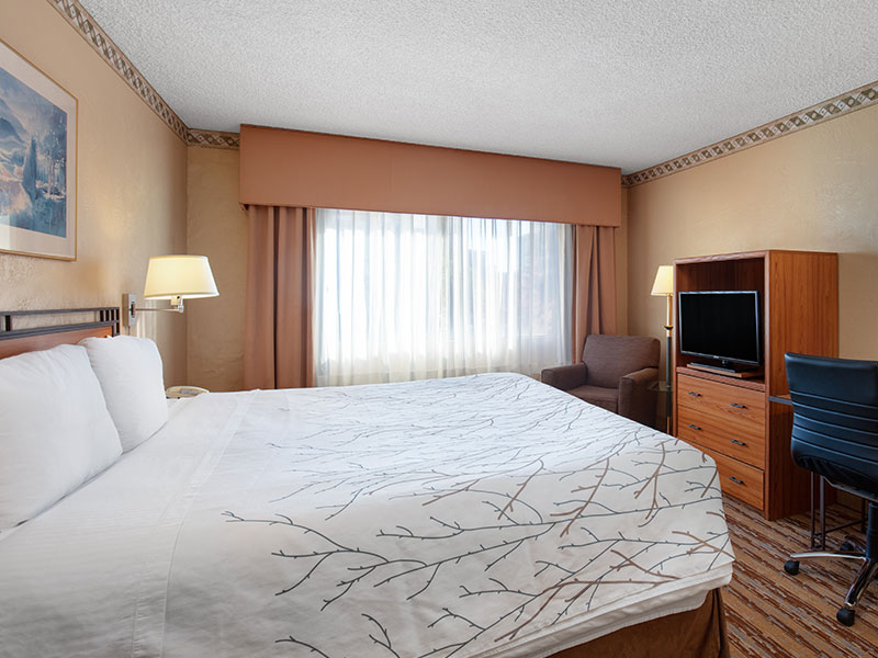 King Room at Travelodge Seattle Center, Washington - 1